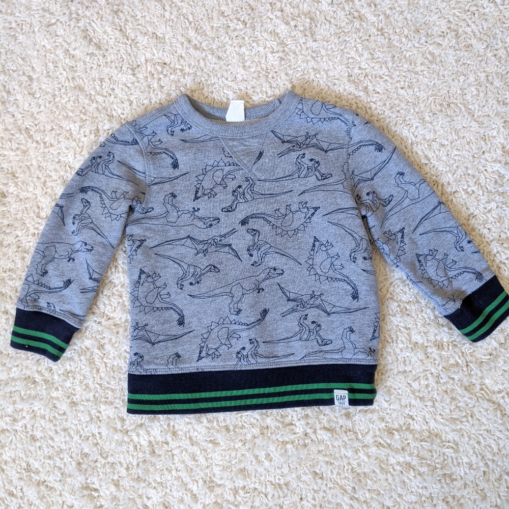 Baby Gap Toddler Boys Dinosaur Crewneck Sw…